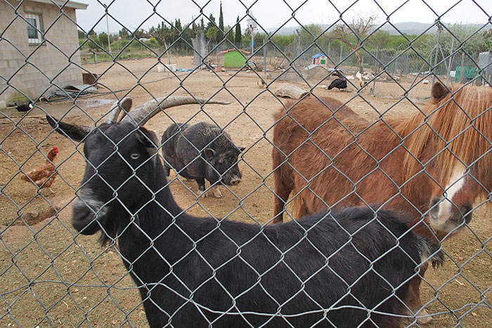 El entorno del terreno de juego